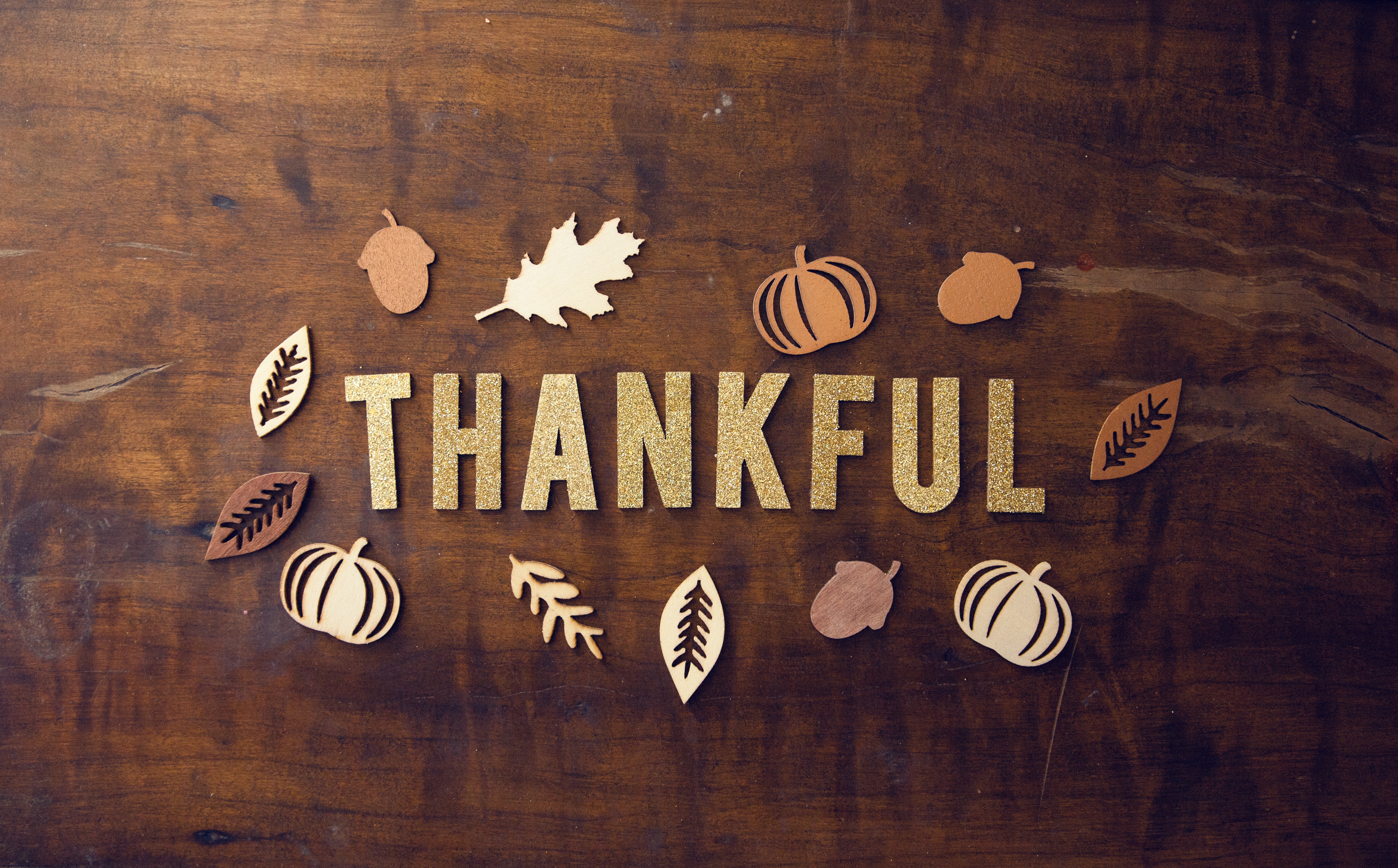 Thankfulness – Blog Challenge Day 2 + 10 Things of Thankful 10/3