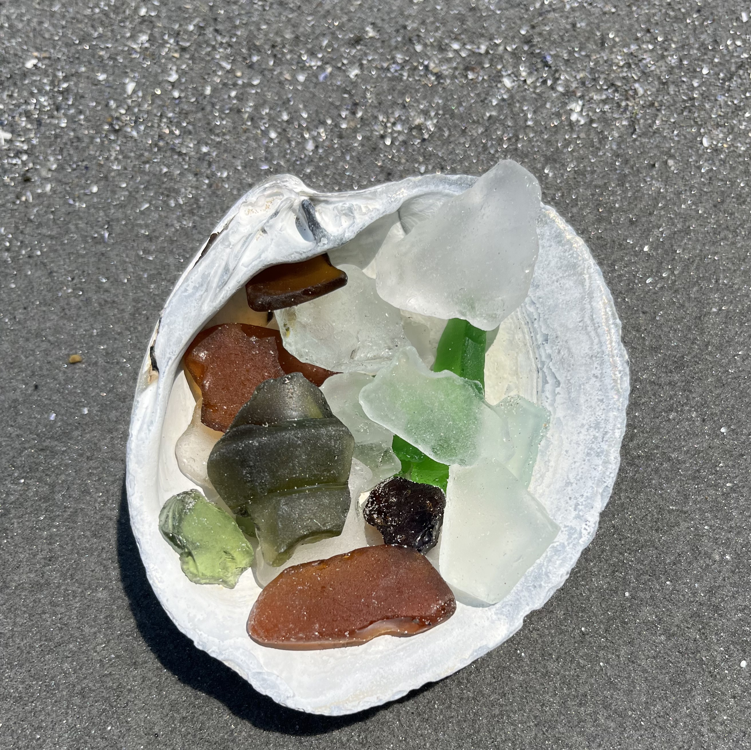 See the Sea Glass